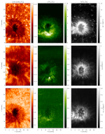 Thermal and magnetic properties of active region 13724
